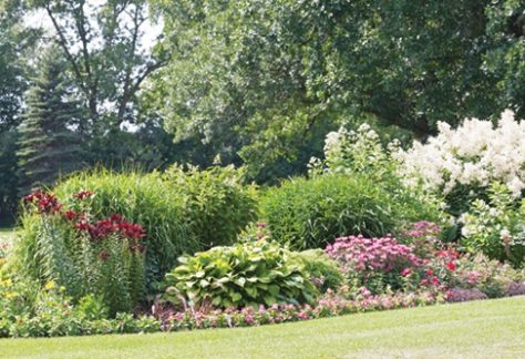 garden